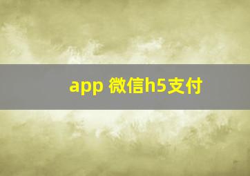 app 微信h5支付